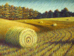 Large Hay Field