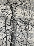 Branching Out - Black, White and Gray